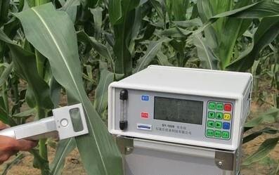 3051D植物光合作用测定仪